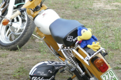 KF-AtzeAcker2025-239-Mittel