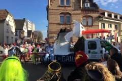 Fastnacht17 (15)